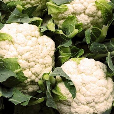3fall-foods-cauliflower-400x400