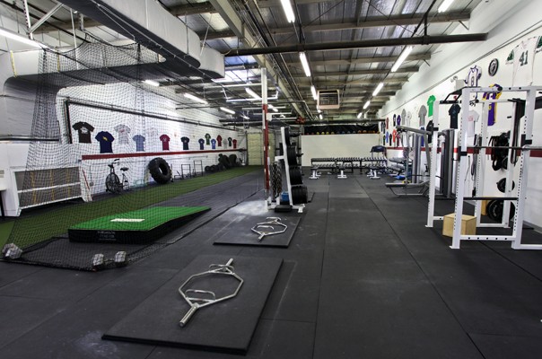 Cressey Performance