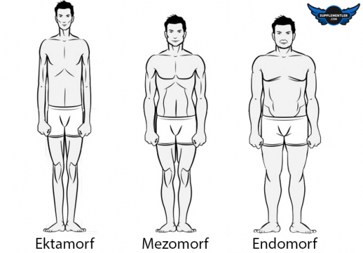 vucut-tipinizi-taniyin