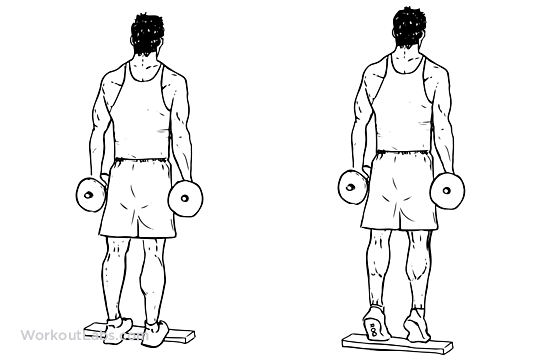 calf raise