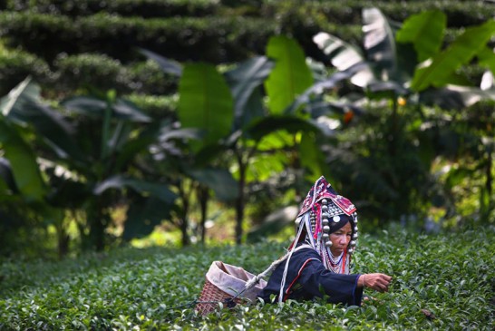 13.Tayland