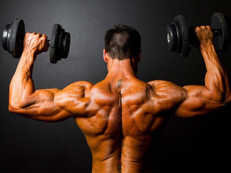 Triceps
