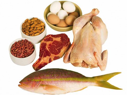 Protein içeren besinler
