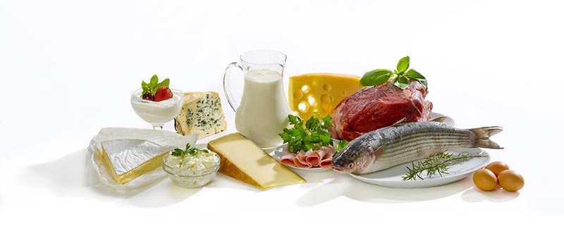 high-protein