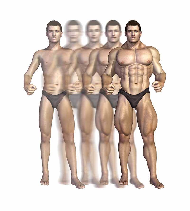 Kilo aldırıcılar (weight gainer) karbonhidrat ve sağlıklı yağ kazanımı sağlar.