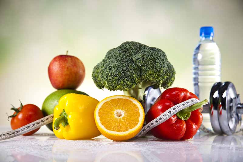 Veganların kullanabildiği protein tozları; Soy, bezelye, pirinç ve kenevir protinleri.