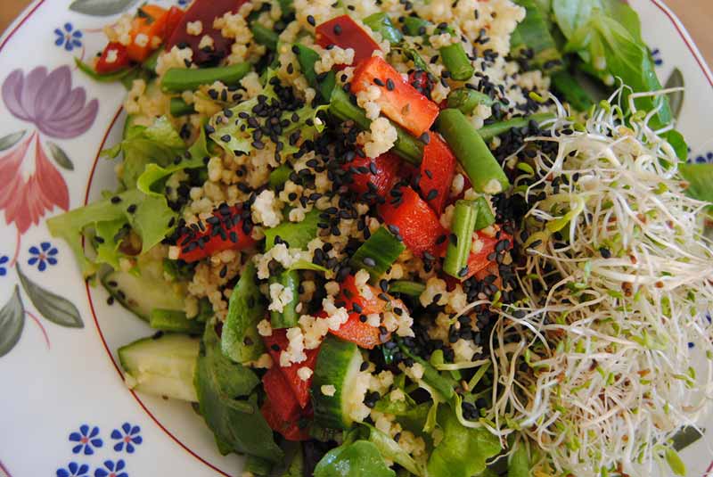 keten-tohumu-salata