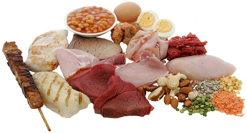 Protein içeren besinler