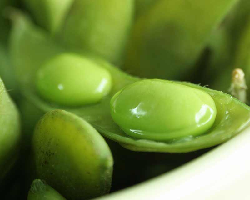 soya