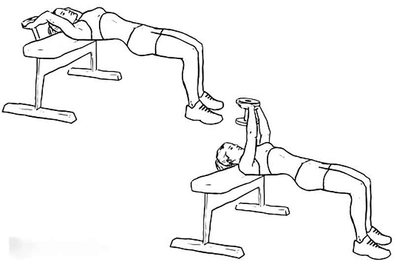 Bent-Arm Dumbbell Pullover (Ağırlık ile)