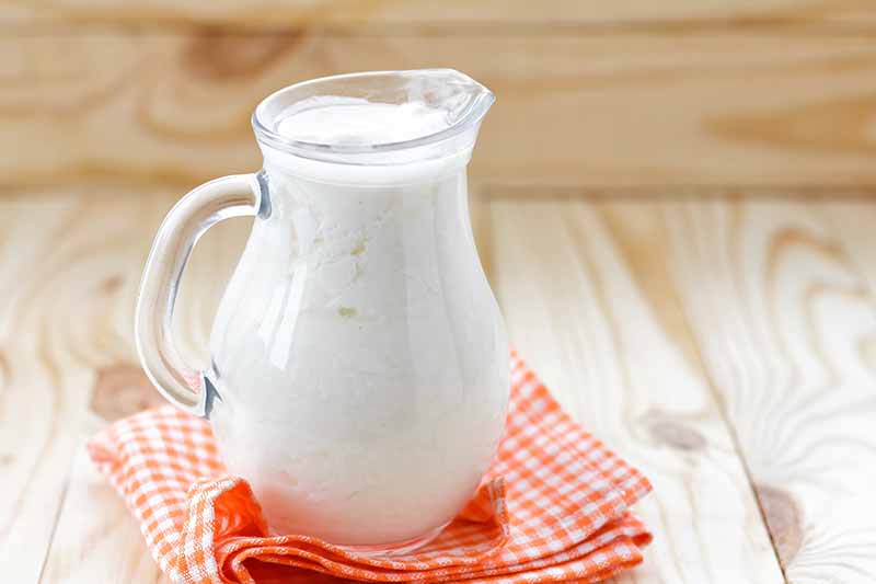 Karışıma kefir eklemeyi unutmayın çünkü, hem smoothie'yi krema kıvamına getirmek ve sağlık açısından çok önemlidir.
