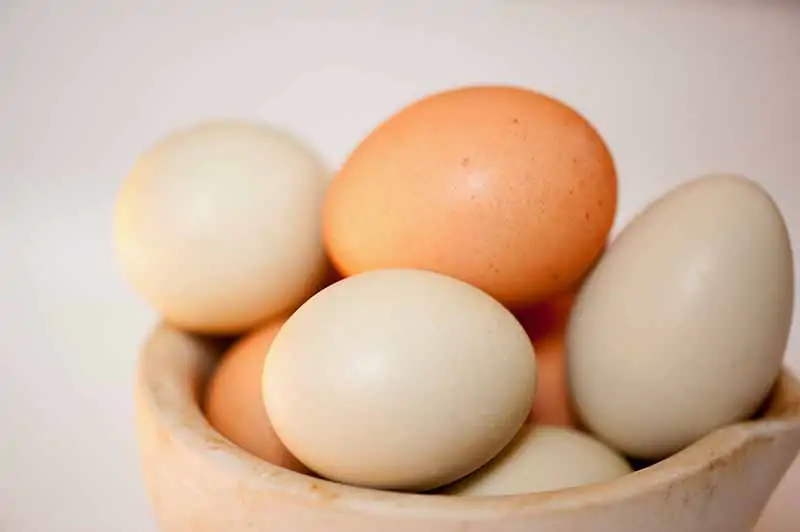 Yumurta A, D, E ve B grubu vitaminlerini içerir.