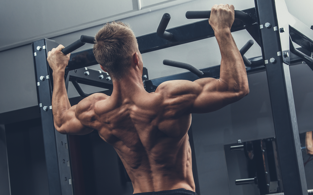 Spor Salonunda Zamanı İyi Değerlendirmenize Yardımcı Dev Sırt