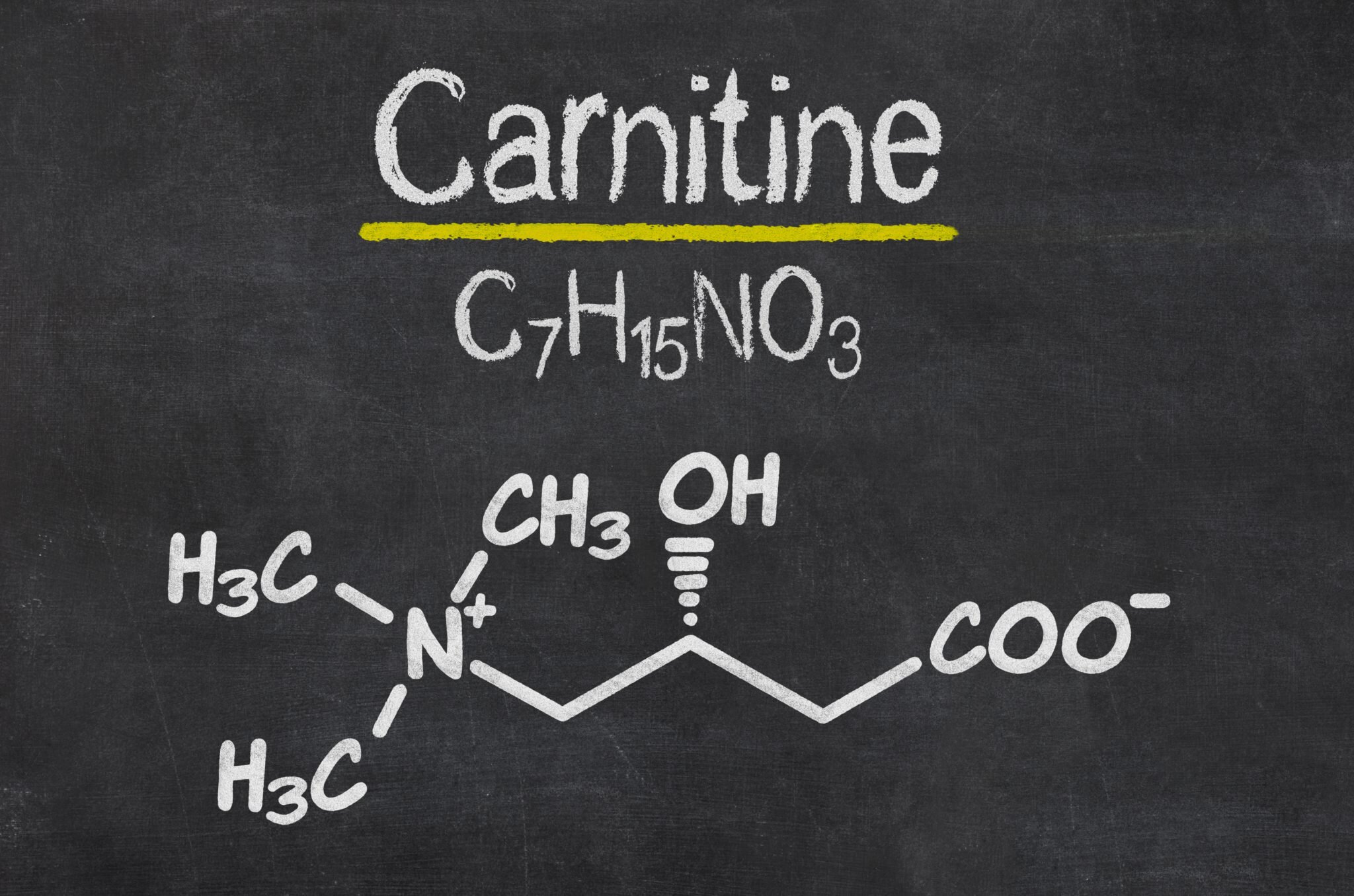 l carnitine yan etkisi Amazon.com: Naturegift Coffee 21 With Vitamins L-Carnitine Weight Loss  Formula 10 Sachets : Grocery & Gourmet Food