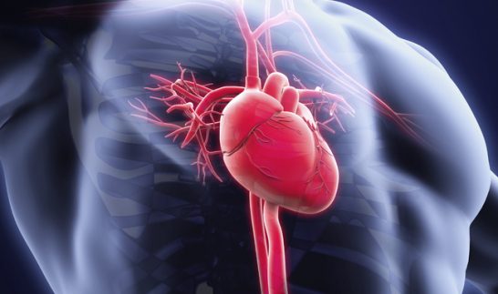 l-karnitin-kullanmanin-10-yan-etkisi