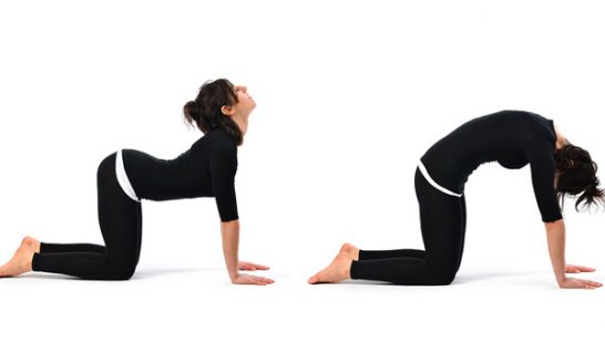 esnek-vucut-icin-jimnastik-hareketleri