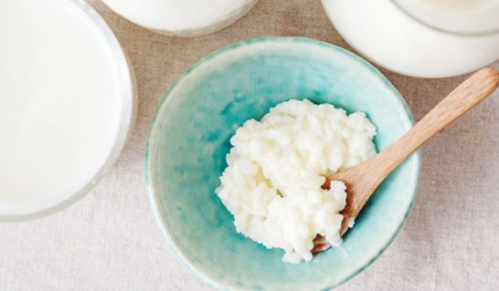 Probiyotik nedir ve faydaları nelerdir sorularını sizin için yanıtladık!