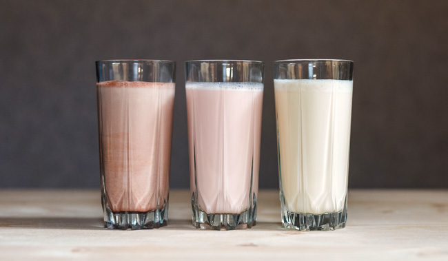 Danone Pro Plus süt ve yoğurt ürünleri