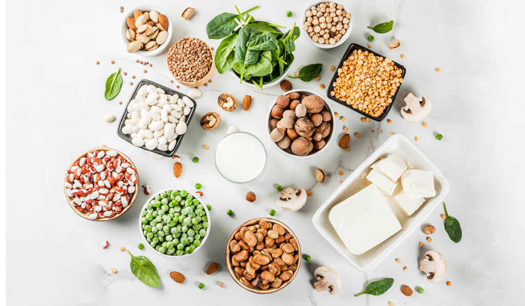 Vegan Protein Kaynakları