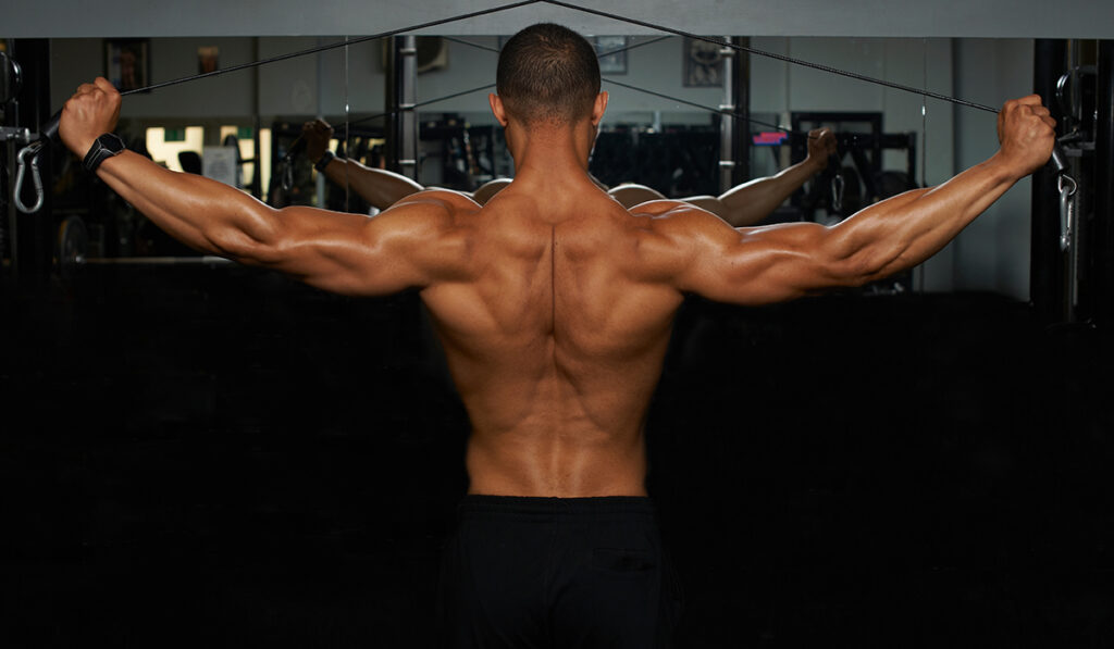 Trapez Kası Nedir? Hareketleri Nelerdir?