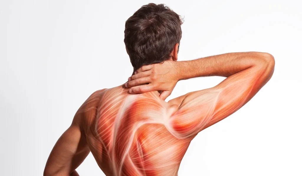 Kas Yırtılması Belirtileri Nelerdir? Nasıl Geçer?