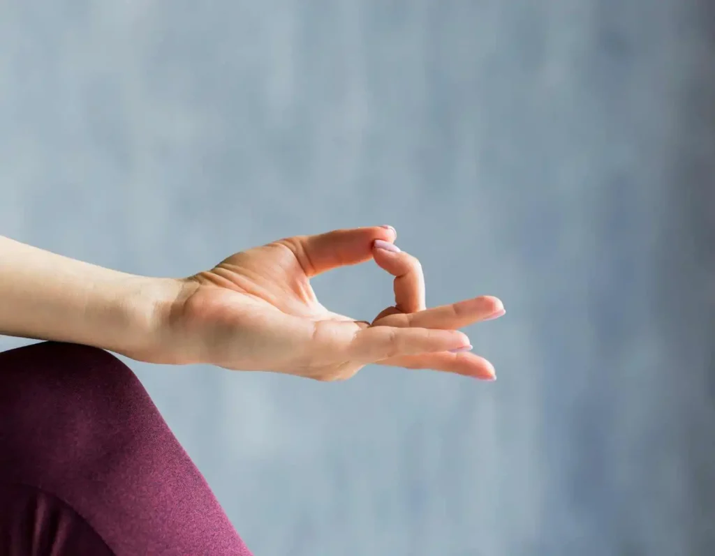 Gyan Mudra (Jnana Mudra)