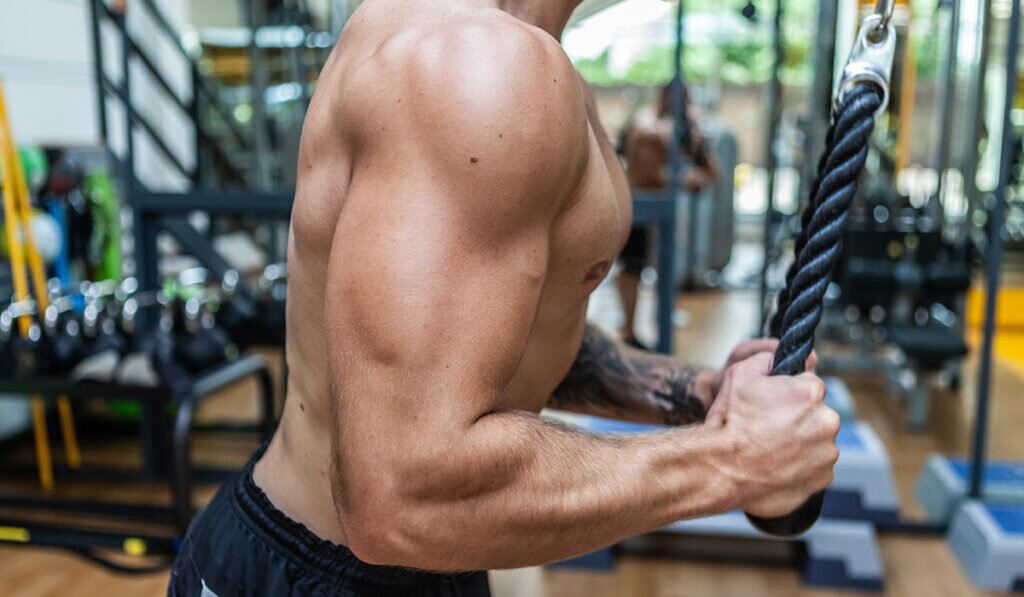 En İyi Arka Kol (Triceps) Hareketleri | Pushdown, Extension ve Kickback